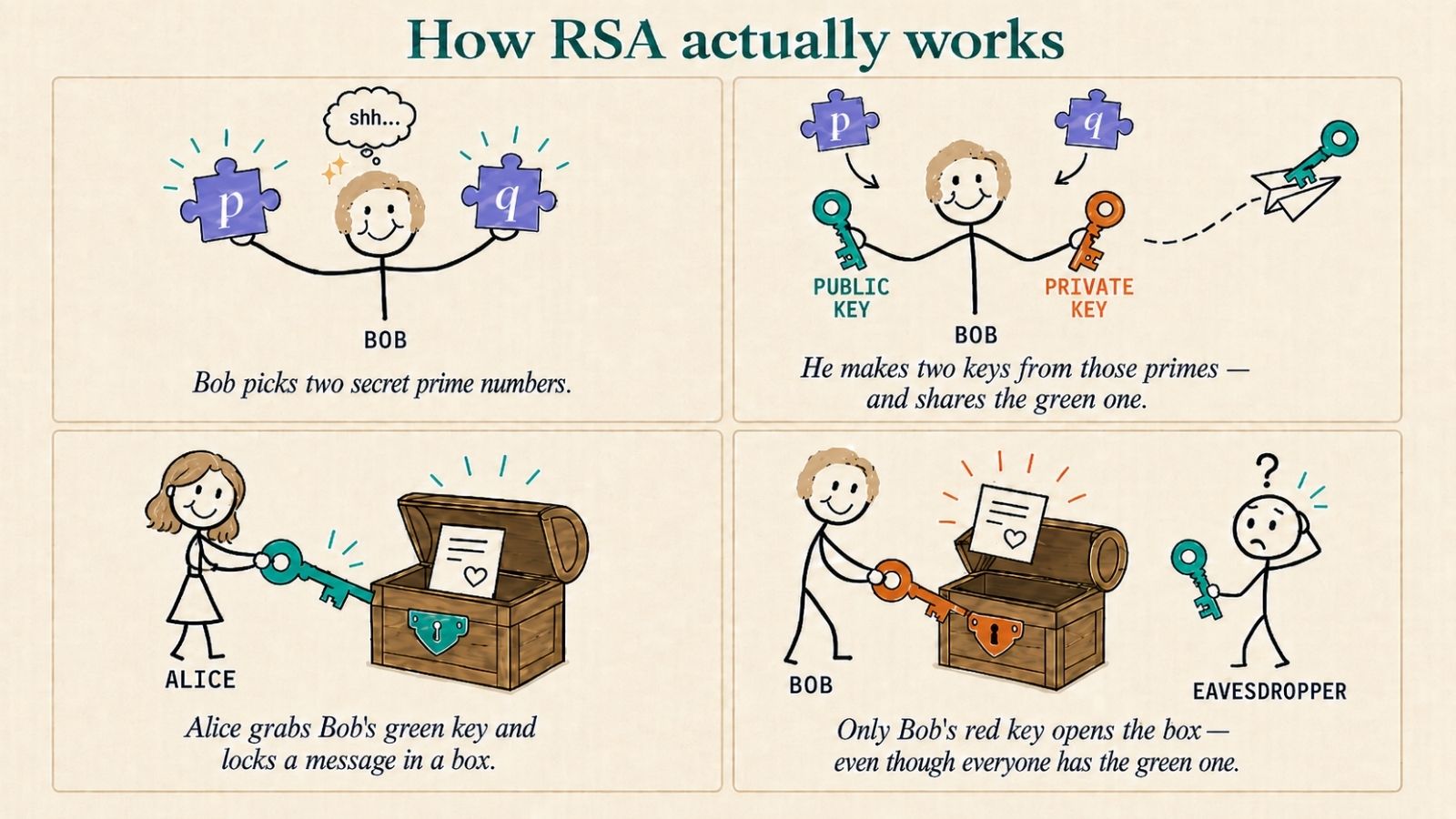 Friendly stickman-style four-panel infographic explaining RSA visually on a light cream background. Panel 1: Bob holds two teal puzzle pieces labeled 'p' and 'q' with a 'shh' thought bubble, caption 'Bob picks two secret prime numbers.' Panel 2: Bob holds a teal 'PUBLIC KEY' and an amber 'PRIVATE KEY' derived from the puzzle pieces, with the public key flying away on a paper airplane, caption 'He makes two keys from those primes, and shares the green one.' Panel 3: Alice uses the green public key to lock a treasure chest containing a letter, caption 'Alice grabs Bob's green key and locks a message in a box.' Panel 4: Bob unlocks the same chest with his red private key while a confused eavesdropper holds the public key, caption 'Only Bob's red key opens the box, even though everyone has the green one.'